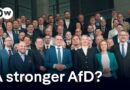 As the second biggest party, will the AfD have a role to play in shaping policy? | DW News