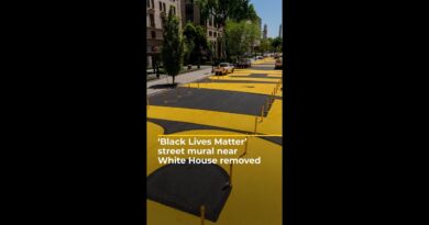 ‘Black Lives Matter’ street mural near White House removed | AJ #shorts