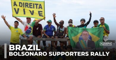 Bolsonaro supporters rally in Brazil, demand amnesty for January 8 riots