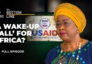 Chihombori-Quao: USAID was ‘a wolf in sheep’s clothing’ in Africa | The Bottom Line