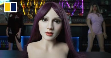 Chinese sex doll manufacturer tries to capitalise on DeepSeek AI boom