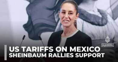 ‘Cool head’: How Mexico’s Claudia Sheinbaum got Trump to halt some tariffs