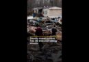 Deadly storm system hits US Midwest killing dozens | AJ#shorts