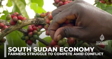 Decades of war, stagnation push South Sudan to the brink as coffee farmers fight for their future