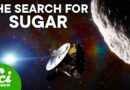 Did Sugar From Deep Space Make Life Possible?