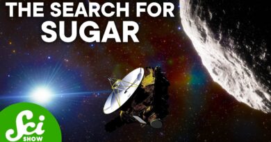 Did Sugar From Deep Space Make Life Possible?