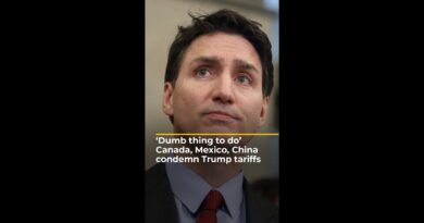 ‘Dumb thing to do’ Canada, Mexico, China condemn Trump tariffs | AJ #shorts