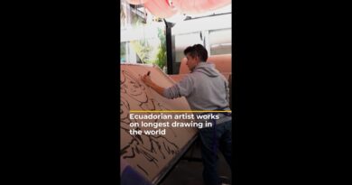 Ecuadorian artist works on longest drawing in the world | AJ#shorts