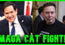 Elon & Marco Rubio Have HUGE FIGHT In Front Of Trump | The Kyle Kulinski Show