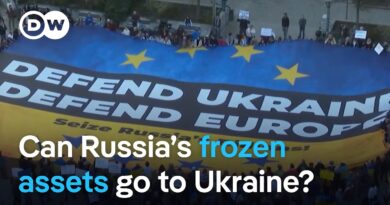 EU countries discuss whether they can hand over frozen Russian assets to Ukraine | DW News