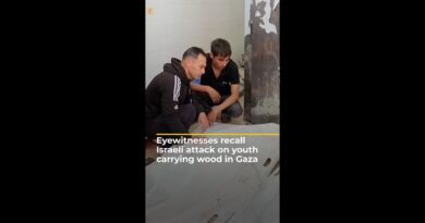 Eyewitnesses recall Israeli attack on youth carrying firewood in Gaza | AJ #shorts