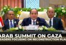 Gaza plan would ensure Palestinians ‘remain on their land’: Egypt’s president at Arab summit