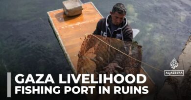 Gaza’s fishermen struggle to rebuild their livelihoods after 15 months of Israeli bombardment