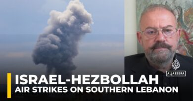 Hezbollah ‘doesn’t have the appetite’ for another war with Israel: Military analyst