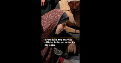 Israel kills senior Hamas official in latest attacks on Gaza | AJ#shorts