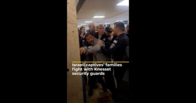 Israeli captives’ families fight with Knesset security guards | AJ#shorts