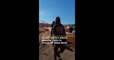 Israeli settlers attack village in Masafer Yatta, occupied West Bank | AJ#shorts