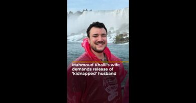 Mahmoud Khalil’s wife demands release of ‘kidnapped’ husband | AJ #shorts