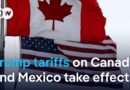 Markets tumble as US slaps tariffs on Canada, Mexico | DW News