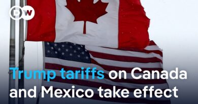 Markets tumble as US slaps tariffs on Canada, Mexico | DW News