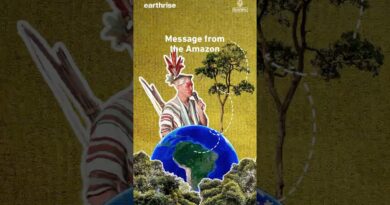 Message from the Amazon | earthrise #shorts