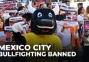 Mexico City bans bullfighting, sparking debates over tradition and animal rights