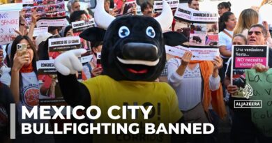 Mexico City bans bullfighting, sparking debates over tradition and animal rights