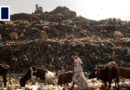 New Delhi vows to flatten monster garbage pile