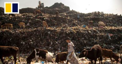 New Delhi vows to flatten monster garbage pile