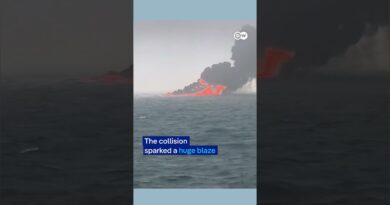 Oil tanker and container ship on fire after colliding in the North Sea | DW News