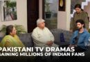 Pakistani TV dramas remain popular in India despite political tensions and cross-border acting bans