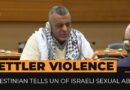 Palestinian survivor of Israeli sexual abuse testifies at UN