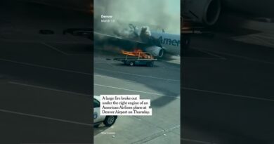 Plane Fire Forces Passengers to Evacuate Onto Wing