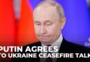 Putin agrees to Ukraine ceasefire talks but raises concerns over implementation