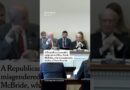 Republican Confronted After Misgendering Trans Democrat