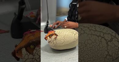 Robotic baby T. rex toy hatch from egg