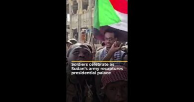 Soldiers celebrate as Sudan’s army recaptures presidential palace | AJ #shorts