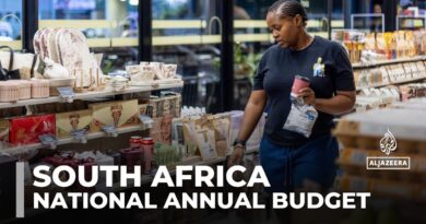 South Africa budget: Proposed tax raise opposed amid economic challenges