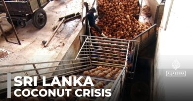 Sri Lanka coconut crisis: Shortages, soaring prices threaten staple food and exports