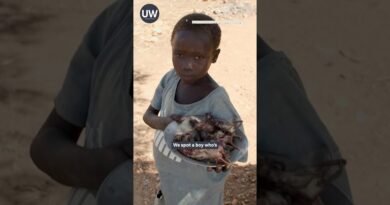 Sudan: eating rats to survive | Unreported World