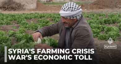 Syrian farming attempts recovery: Sector looks to repair shattered productivity