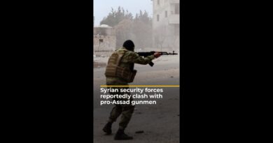 Syrian security forces reportedly clash with pro-Assad gunmen | AJ #shorts