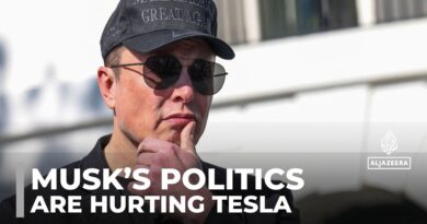 Tesla faces backlash as musk’s government role alienates customers