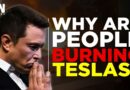 #TeslaTakedown | Why Protesters Are Burning Teslas & Boycotting Musk | Donald Trump | USA | Germany