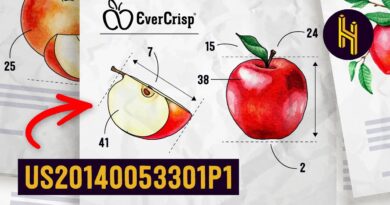 The 19 Year Process of Inventing a New Apple