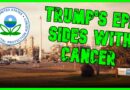 Trump EPA Drops ‘Cancer Alley’ Lawsuit, Siding With Cancer | The Kyle Kulinski Show