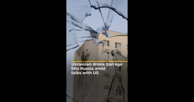 Ukrainian drone barrage hits Russia as peace talks begin | AJ #shorts