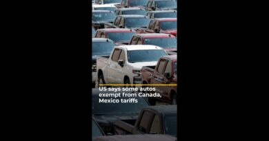 US says some autos exempt from Canada, Mexico tariffs for one month | AJ #shorts