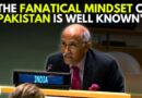 WATCH: India Advocates Religious Tolerance At The UN, Raps Pakistan Over Repeated References On J&K