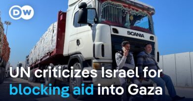 What Israel tries to achieve by halting aid to Gaza | DW News